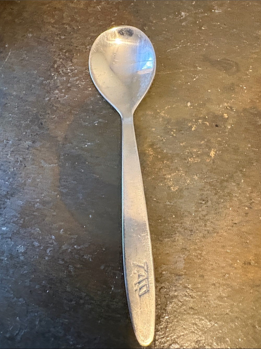 Stainless Steel Table Spoon - Silver